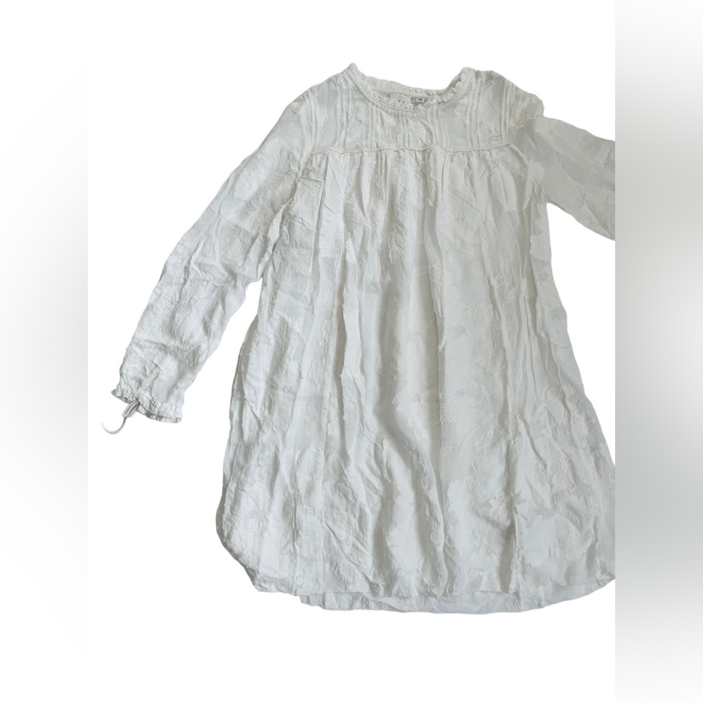 Xxs small Wilfred